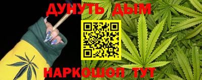 гидра Краснодар