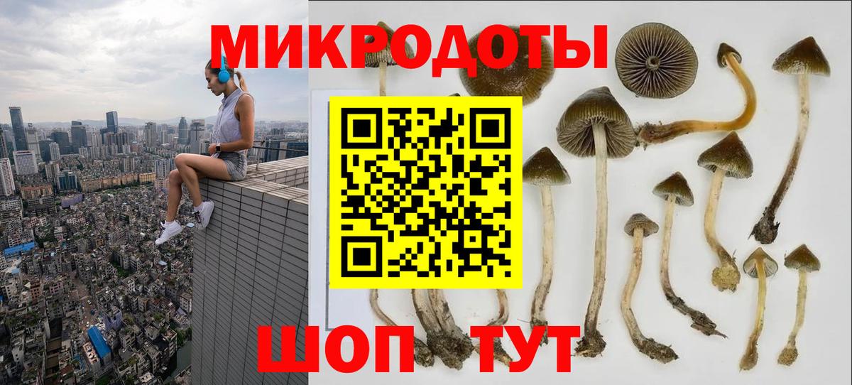 Псилоцибиновые грибы Psilocybine cubensis  Кубинка  Псилоцибиновые грибы MAGIC MUSHROOMS 