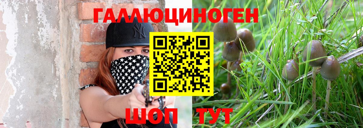 Псилоцибиновые грибы мицелий  Галлюциногенные грибы Psilocybe  Кубинка  Вход с VPN 